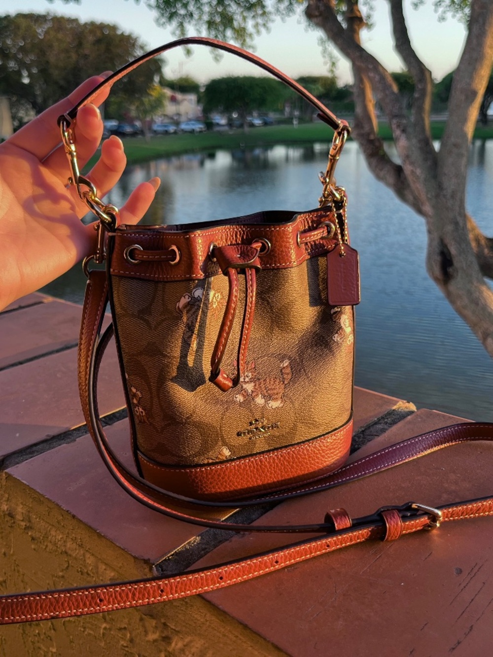 COACH MINI DEMPSEY BUCKET BAG SIGNATURE CANVAS WITH KITTEN PRINT RARE LIKE NEW